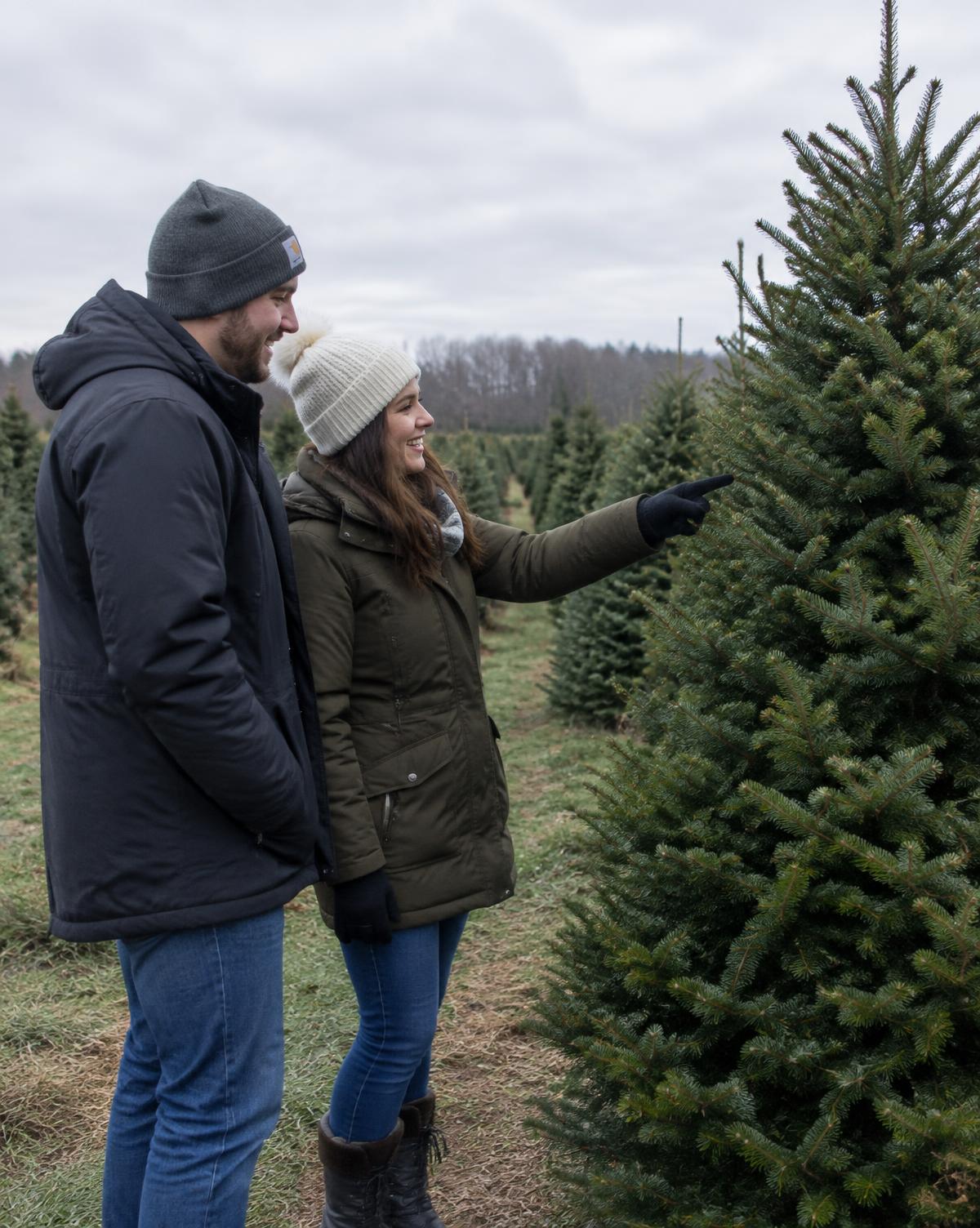 Stel wijst samen naar een kerstboom in het veld